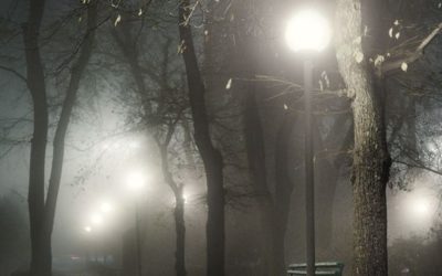 La Théorie du Lampadaire