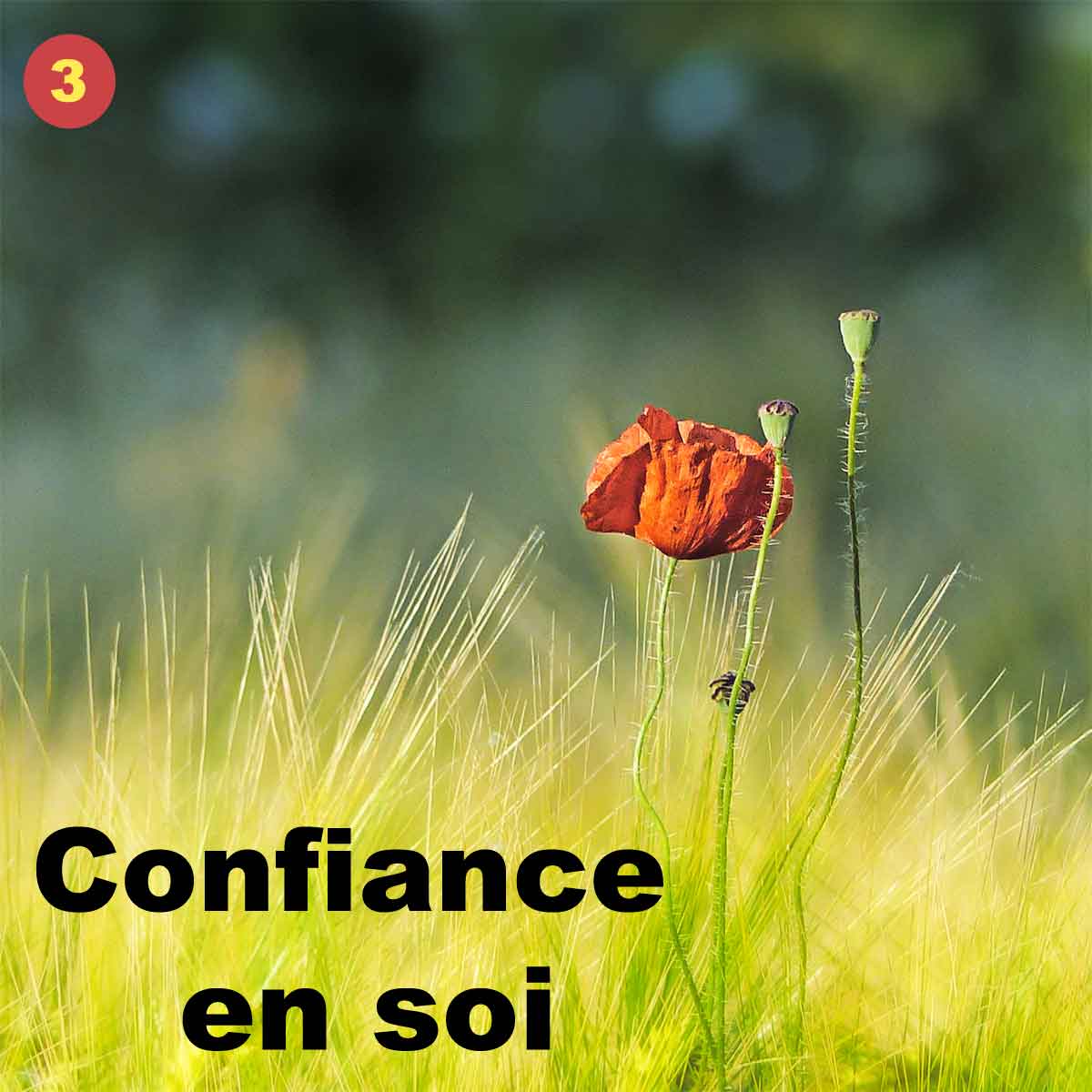 Confiance en soi