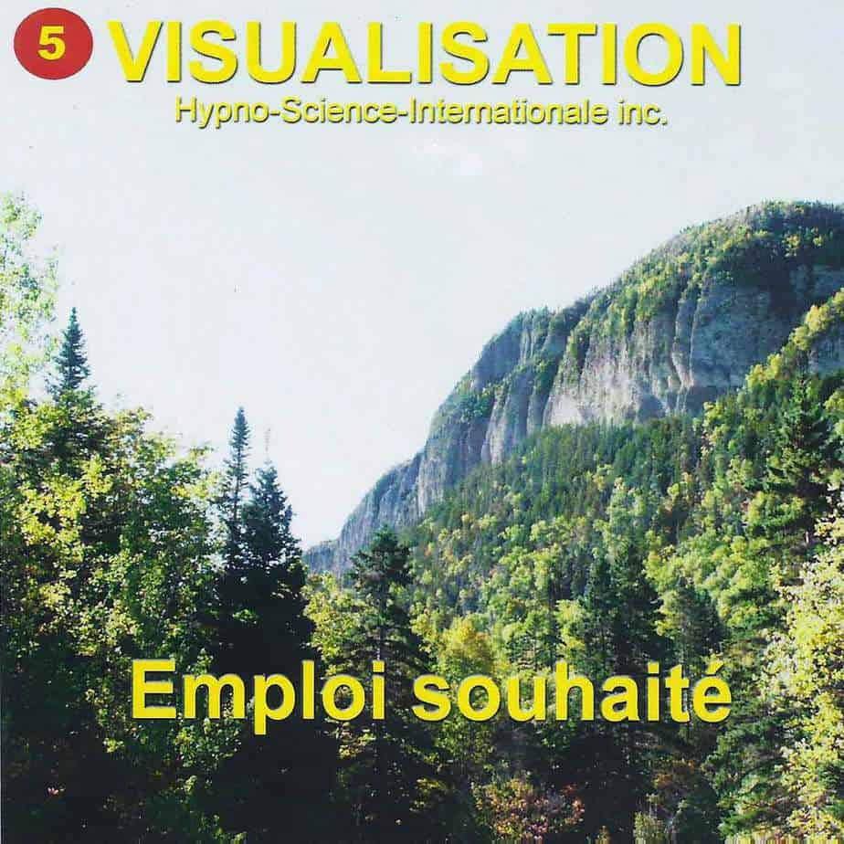 Emploi souhaité