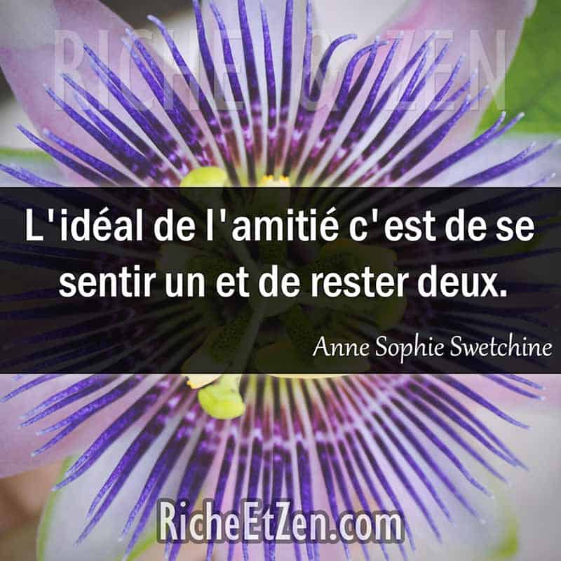 L'idéal de l'amitié c'est de se sentir un et de rester deux. - Anne Sophie Swetchine - citation amitie - citations amitié - citations sur l'amitié - citations sur les amis