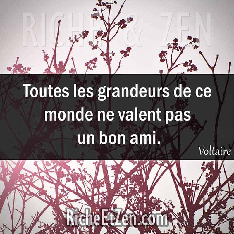 Toutes les grandeurs de ce monde ne valent pas un bon ami. - Voltaire - citation amitie - citations amitié - citations sur l'amitié - citations sur les amis