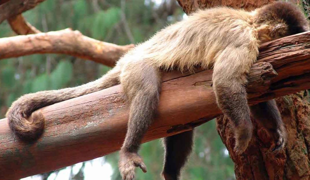 7 trucs simples pour éliminer la procrastination et passer à l&rsquo;action