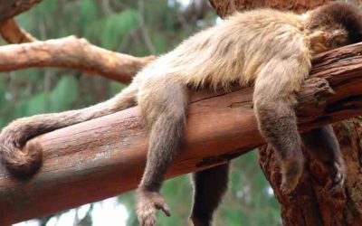 7 trucs simples pour éliminer la procrastination et passer à l&rsquo;action