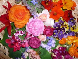 Les fleurs comestibles