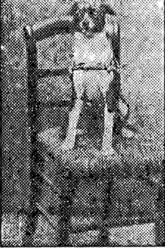 Le chien sous l’emprise de l’hypnose Le magnétisme chez les animaux Le chien et le chat Le chien sous l’emprise de l’hypnose Le magnétisme chez les animaux Le chien et le chat