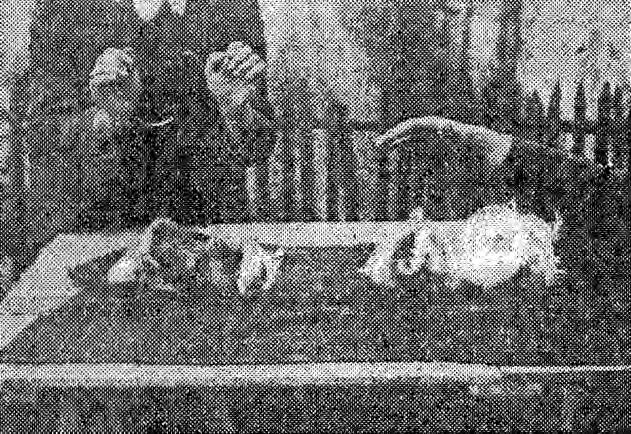 Dix-neuvième leçon : Le magnétisme chez les animaux Poules et cobayes Dix-neuvième leçon : Le magnétisme chez les animaux Poules et cobayes