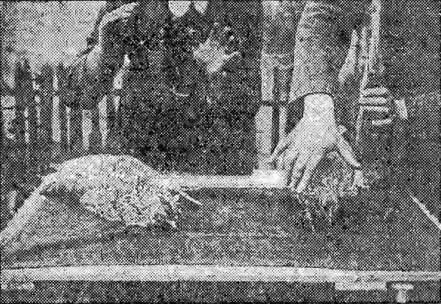 Dix-neuvième leçon : Le magnétisme chez les animaux Poules et cobayes Poules sur le tracé de craie Dix-neuvième leçon : Le magnétisme chez les animaux Poules et cobayes