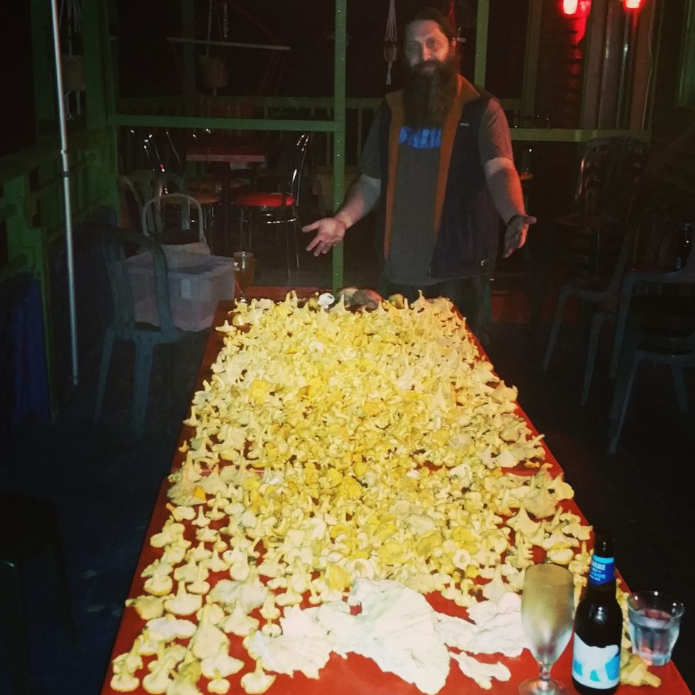 Dominic Lamoureux avec chanterelle